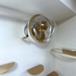 MYZOO潜水艦OCEANの透明カプセルに入ったアビシニアン長毛